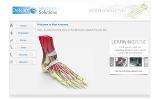 Foot Anatomy capture d'écran 1