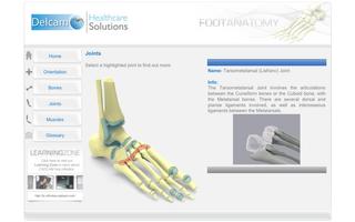 Foot Anatomy capture d'écran 2