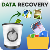 ikon Data recovery for media files – storage recovery