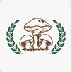 Fungo de Quintal APK