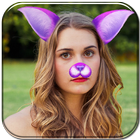 Cat Faces Photo Filter आइकन