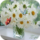 Margaritas Fondo De Pantalla GIF APK
