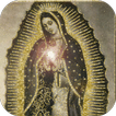 Virgin Of Guadalupe With GIF Lights