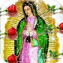 Virgen De Guadalupe A Color GIF APK