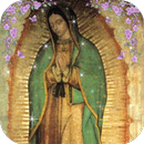 Virgen De Guadalupe Adornos Movimiento APK