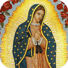 Virgen De Guadalupe Fondo Animado أيقونة