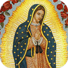 Virgen De Guadalupe Fondo Animado icon