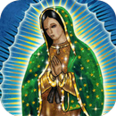 Virgen De Guadalupe Live Wallpaper APK