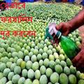 যেভাবে ফরমালিন দূর করবেন
