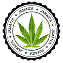 APK Cannabis Store Italia