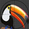 Shoot All The Birds APK