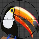 Shoot All The Birds APK