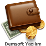 Muhasebe Programı - DemsoftX
