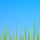 Grass live wallpaper icon