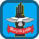 Pencak Silat Merpati Putih-APK
