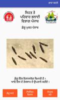 Dengue Free Punjab 截图 3