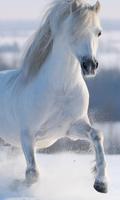 2 Schermata Best Horses Jigsaw Puzzle Game