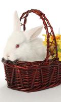 ウサギのジグソーパズルゲーム スクリーンショット 2