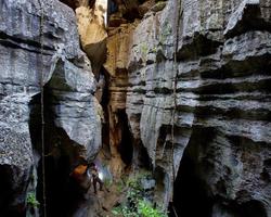 3 Schermata Wallpaper StoneForest Of Madagascar