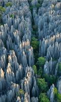 Wallpaper StoneForest Of Madagascar capture d'écran 1