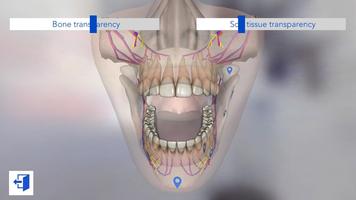 Dental Simulator ảnh chụp màn hình 2