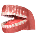 VR Dentist - A Dental App