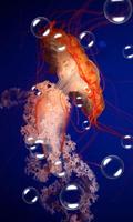 Jellyfish Live Wallpaper 截图 3