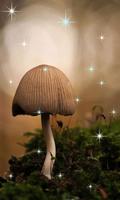 1 Schermata 3D Mashroom Live Wallpaper