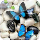 Butterfly Live Wallpaper icône