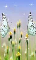 Butterfly Live Wallpaper โปสเตอร์