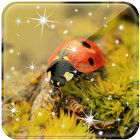 Ladybug Live Wallpaper icône