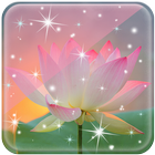 Lotus Live Wallpaper new آئیکن