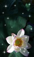 Lotus Live Wallpaper new पोस्टर