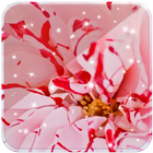 Rose Petals Live Wallpaper icon