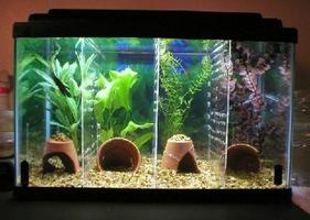 Aquascape Design اسکرین شاٹ 1