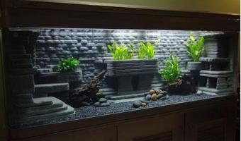 2 Schermata Aquascape alzarsi