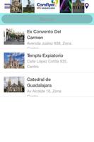 Comflyer City Gdl screenshot 3