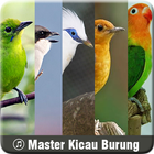 Masteran Burung (300+ Lebih) simgesi