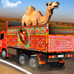 Transport par camel au désert