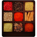 Receitas indianas livre APK