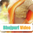 Hot Bhojpuri video songs