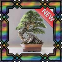 Design Bonsai Ideal poster