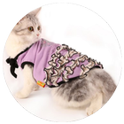 Design Cat Clothes Ideas icône