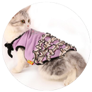 डिजाइन बिल्ली कपड़े विचार APK
