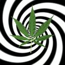 Hypnotic Weed Live Wallpaper APK