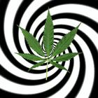 Hypnotic Weed Live Wallpaper icône