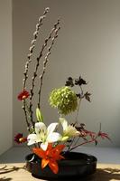 Japanese Flower Arrangement Affiche