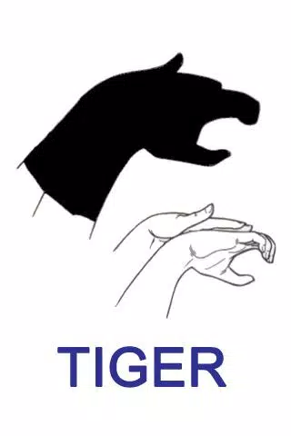 Tải xuống APK Hand Shadow Puppets Ideas cho Android Tải xuống APK Hand Shadow Puppets Ideas cho Android