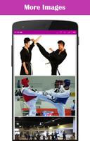 Taekwondo Technique โปสเตอร์