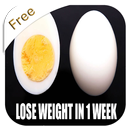 How to Lose Belly Fat in 1Week APK